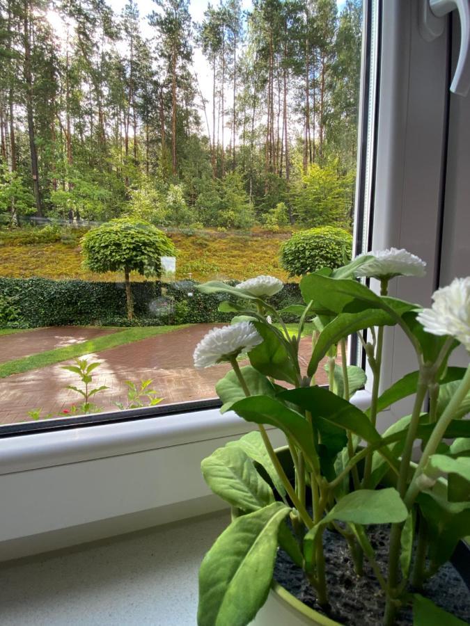 Lesny Apartament Ostrzyce Kültér fotó