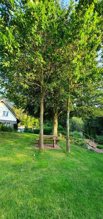 Lesny Apartament Ostrzyce Kültér fotó