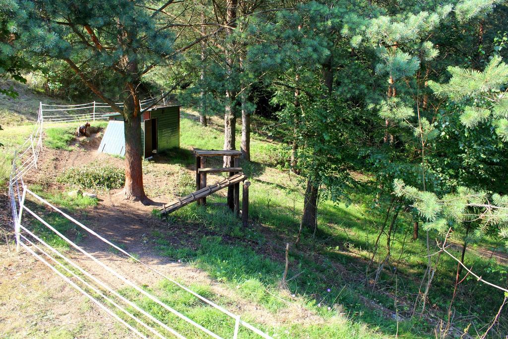 Lesny Apartament Ostrzyce Kültér fotó